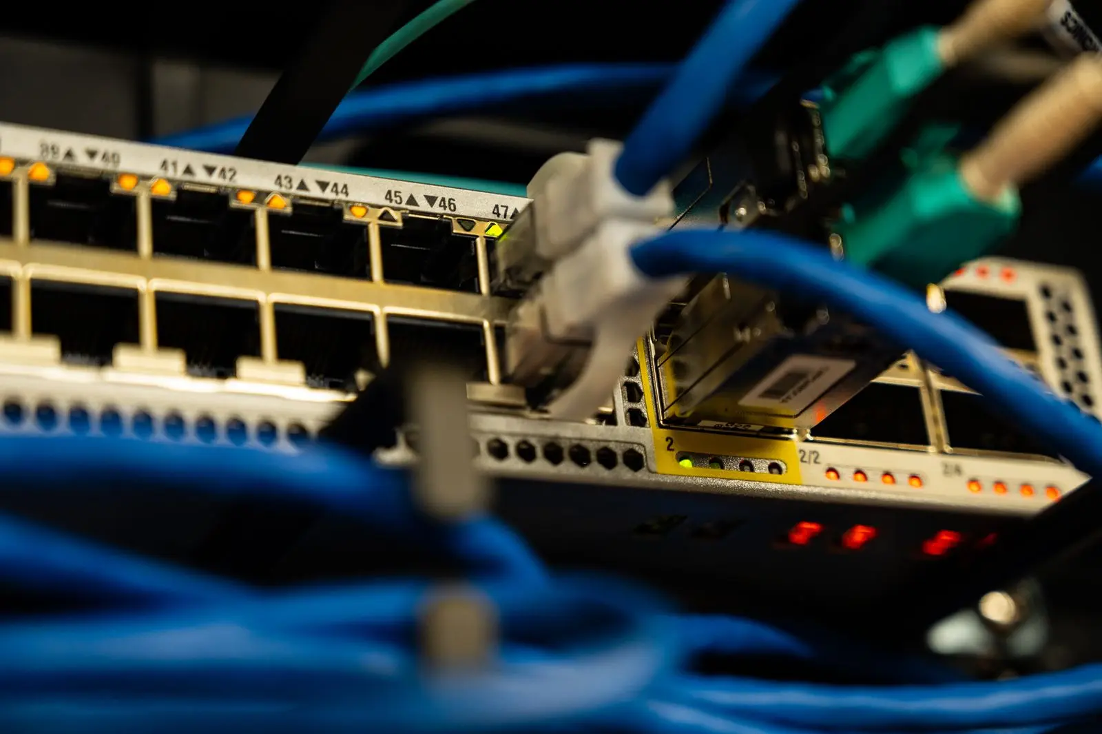 Cables ethernet conectados a un switch, imagen ilustrativa